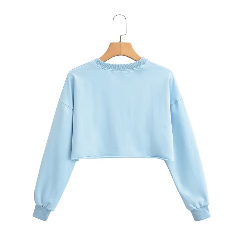 Spring Cropped Sweater Round Neck Loose Long Sleeves Pullover Sweater Women