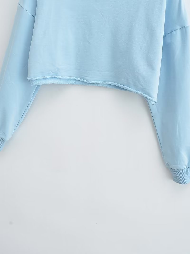 Spring Cropped Sweater Round Neck Loose Long Sleeves Pullover Sweater Women